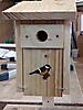 Vogelhäusle8