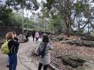 13-Australien-2018