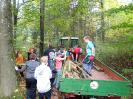 39-Waldtage-6b-2018