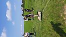 Waldtag_6b_23