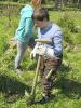 Waldtage 6d