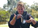 Gegenbesuch in Melbourne